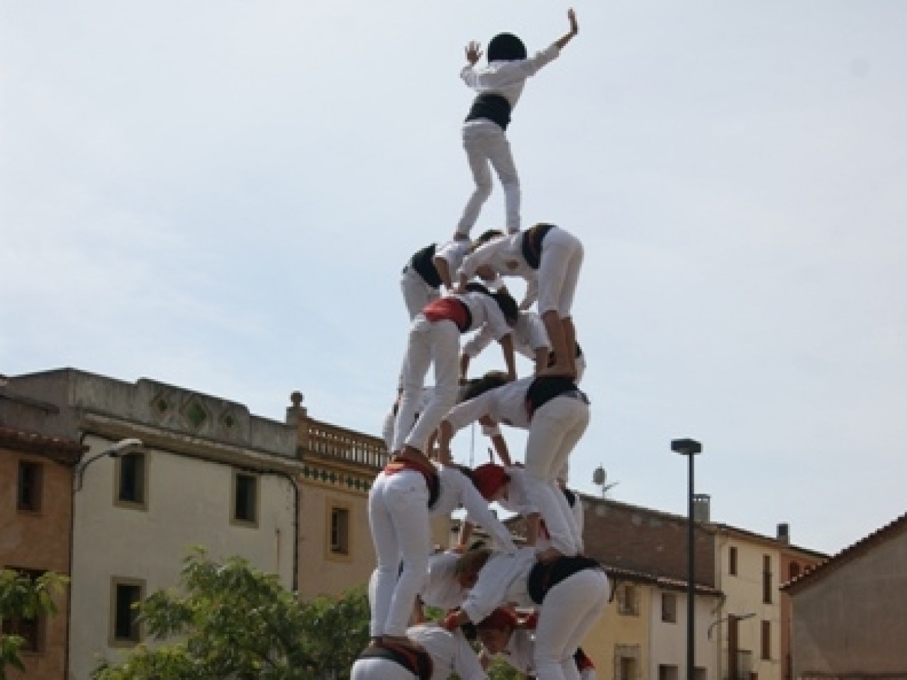 Falcons de Vallbona d’Anoia