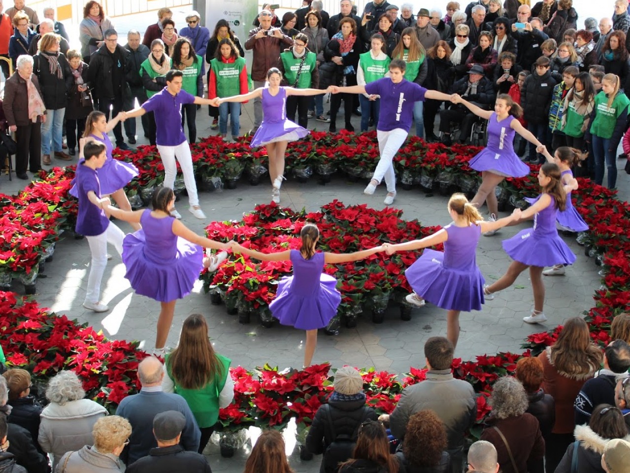 Agr. Sardanista Mediterrània Dansa